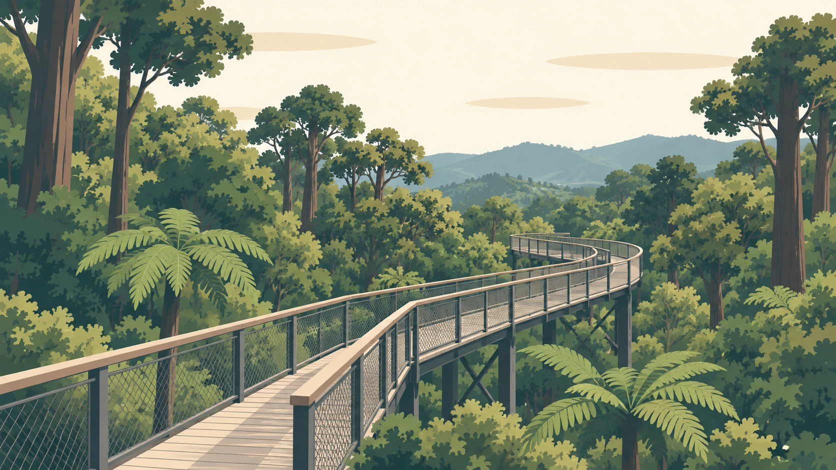 Wilton illustrated: the canopy walkway at Ōtari-Wilton's Bush crossing above the native forest.